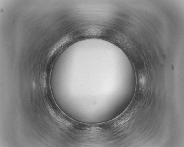 X0000059830396200510241426