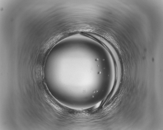 X0000059830397200510241426