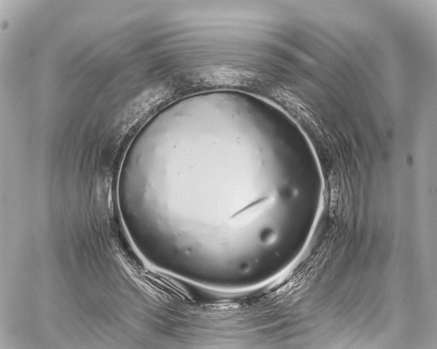 X0000059830398200510241426