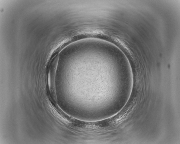 X0000059830399200510241426