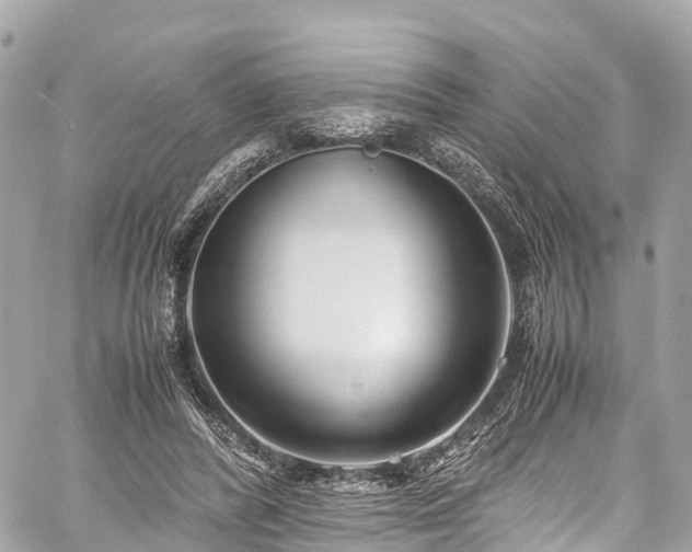 X0000059830400200510241426