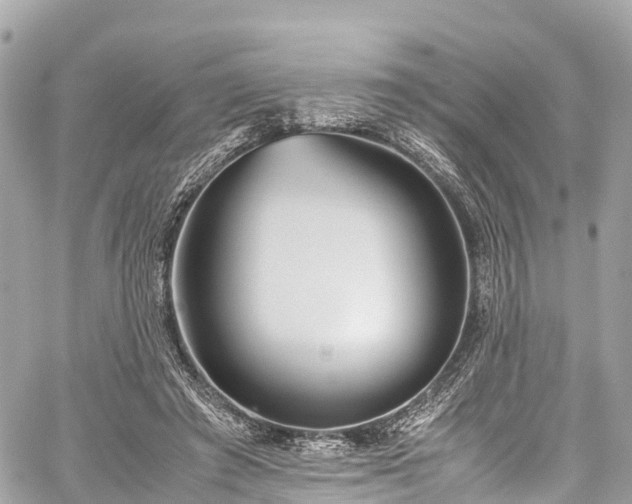 X0000059830401200510241426