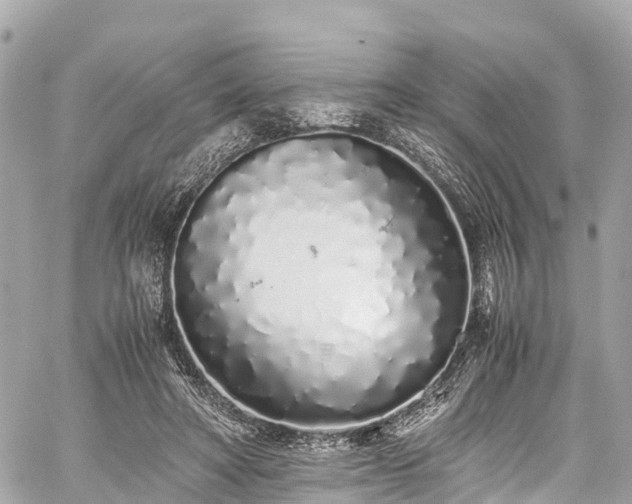 X0000059830402200510241426