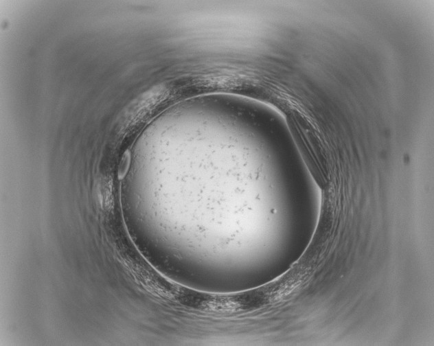 X0000059830403200510241426