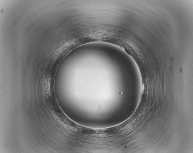 X0000059830404200510241426