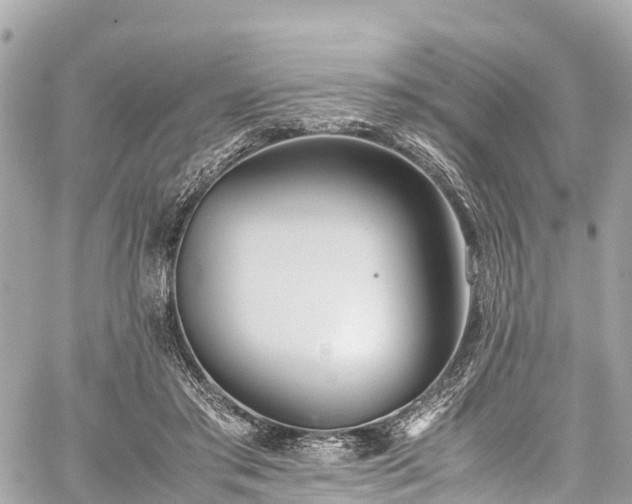 X0000059830405200510241426