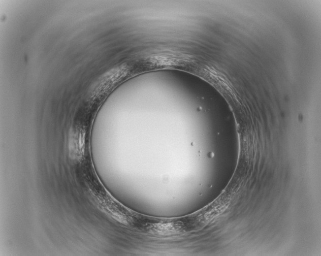 X0000059830406200510241426