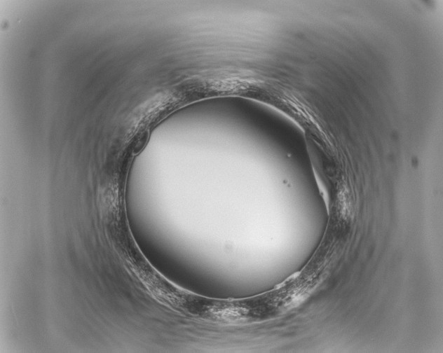 X0000059830407200510241426