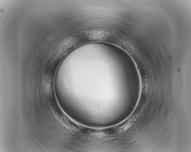 X0000059830408200510241426