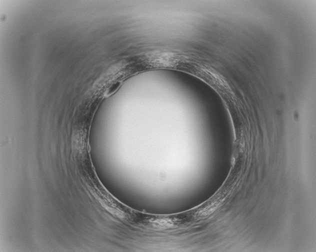 X0000059830409200510241426