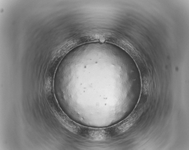 X0000059830410200510241426