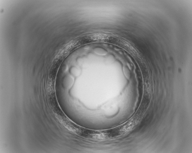 X0000059830411200510241426