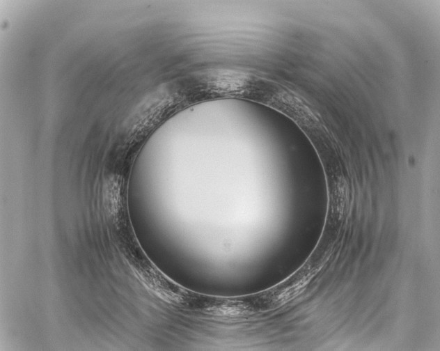 X0000059830412200510241426