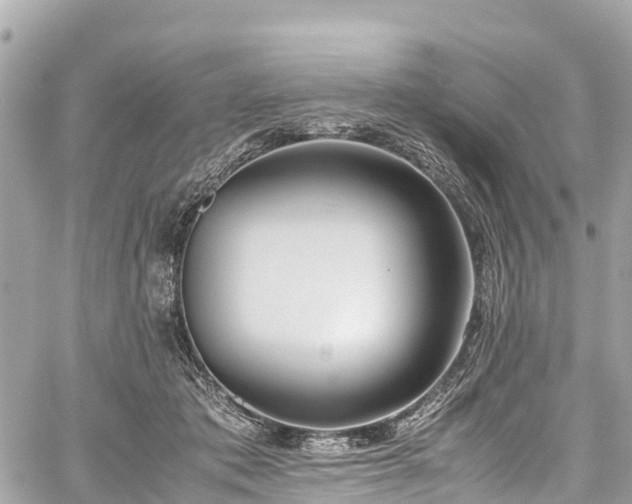 X0000059830413200510241426