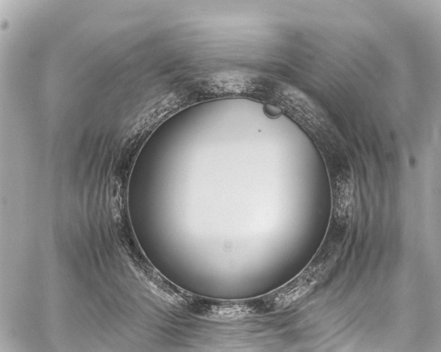 X0000059830414200510241426