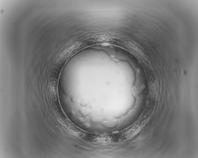 X0000059830415200510241426