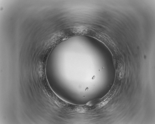 X0000059830416200510241426