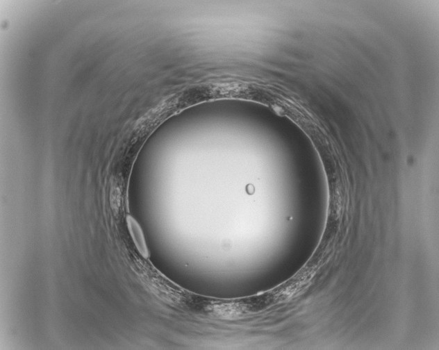 X0000059830417200510241426