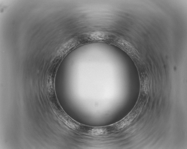 X0000059830418200510241426