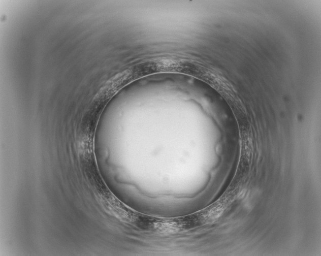 X0000059830419200510241426