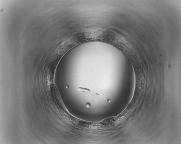 X0000059830420200510241426