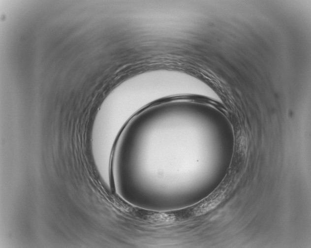 X0000059830421200510241426