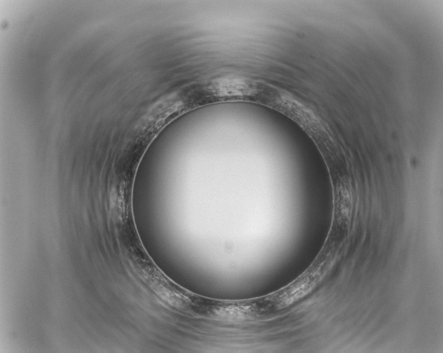 X0000059830422200510241426