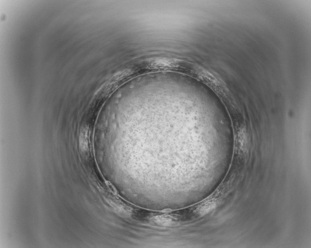 X0000059830423200510241426