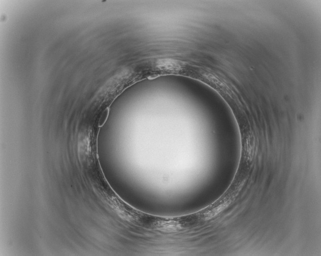 X0000059830424200510241426