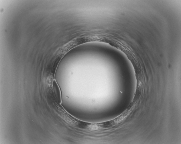 X0000059830425200510241426