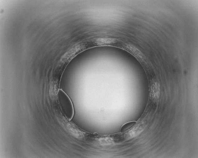 X0000059830426200510241426