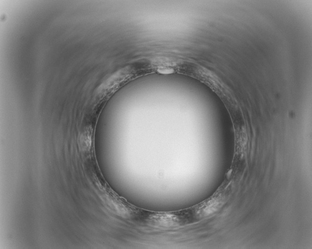 X0000059830427200510241426