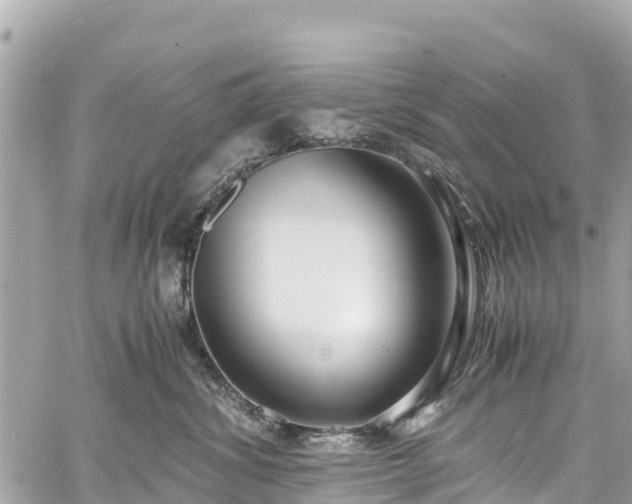 X0000059830428200510241426