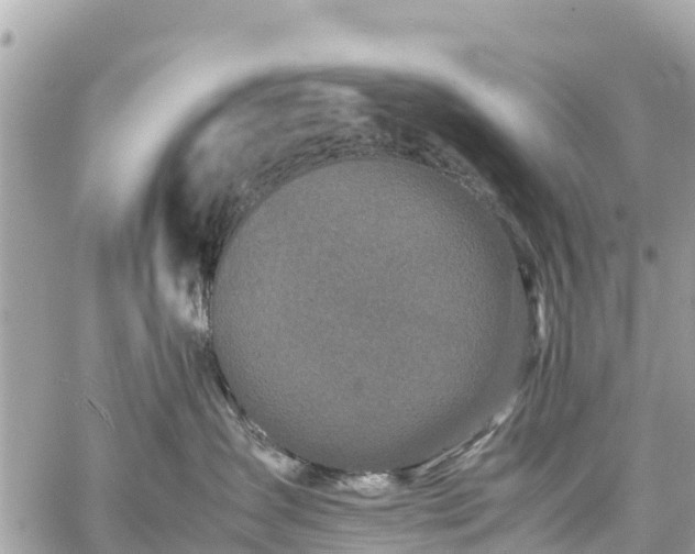 X0000059830431200510241426