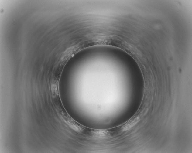 X0000059830432200510241426