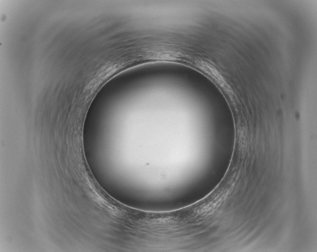 X0000059830433200510241425