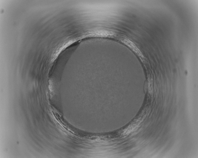 X0000059830434200510241425