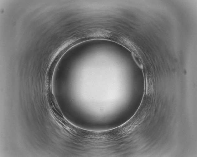 X0000059830435200510241425