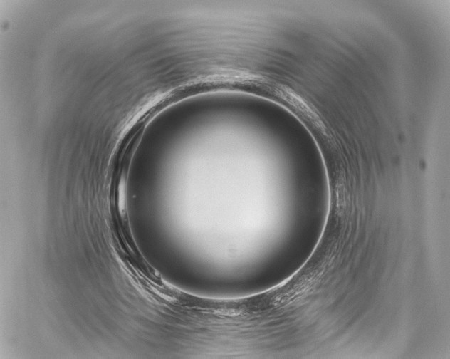 X0000059830436200510241425