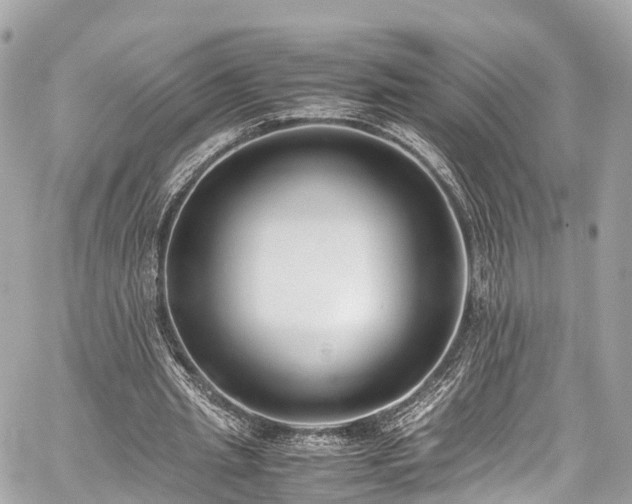 X0000059830437200510241425