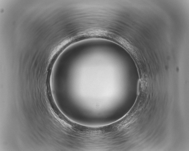 X0000059830438200510241425