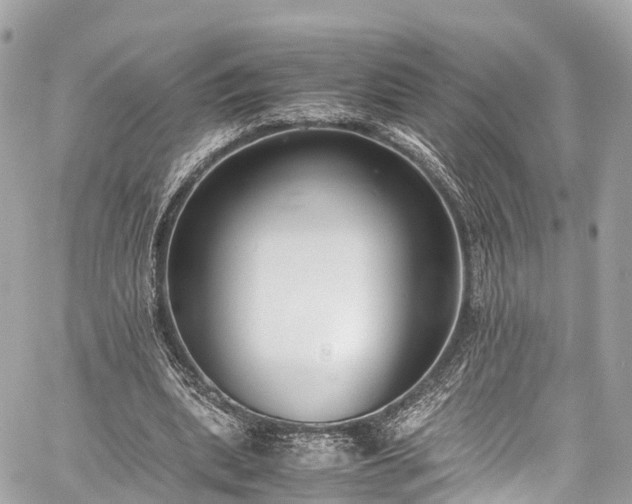 X0000059830439200510241425