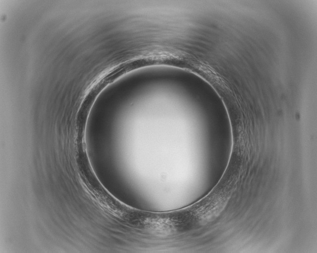 X0000059830440200510241425