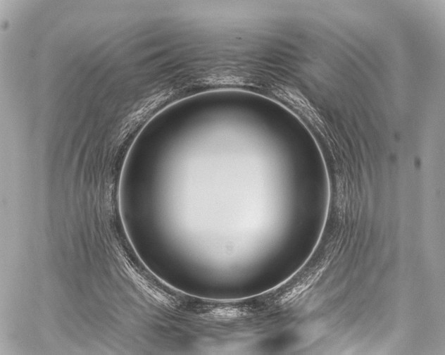 X0000059830441200510241425