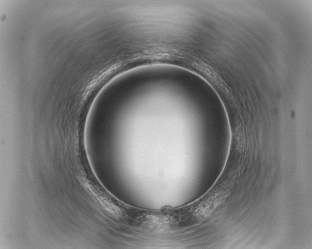 X0000059830442200510241425