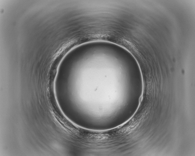 X0000059830443200510241425