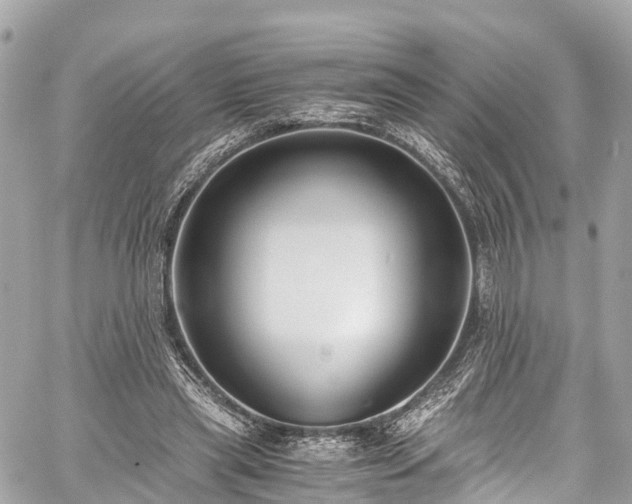 X0000059830445200510241425