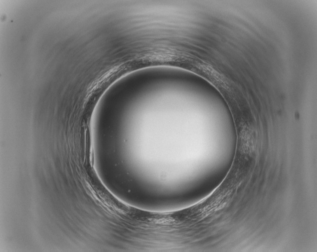 X0000059830446200510241425