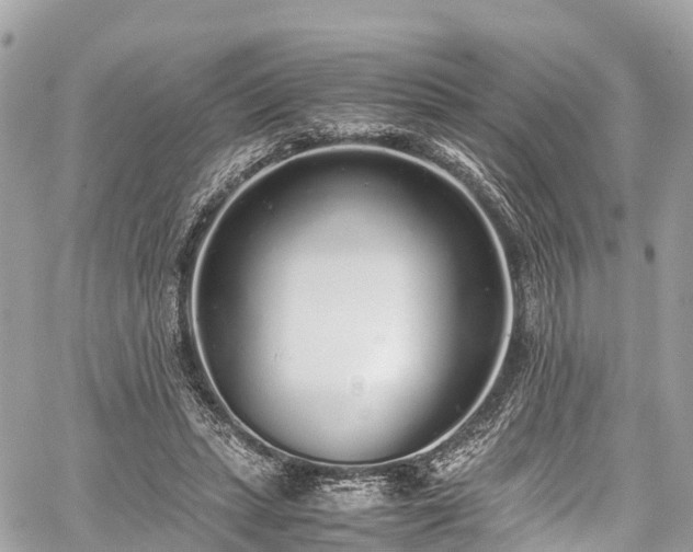 X0000059830447200510241425