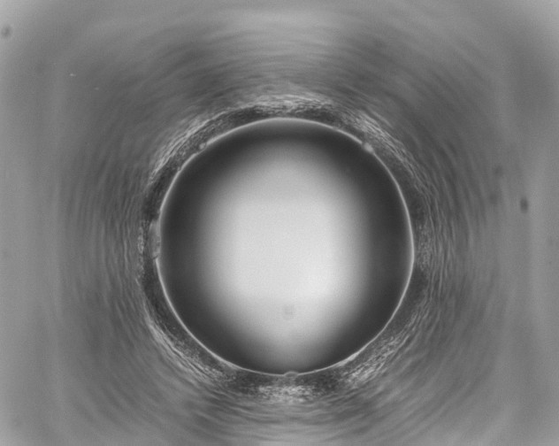 X0000059830448200510241425